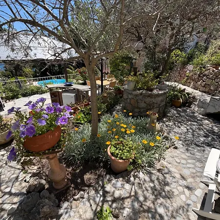 Maison Paradis Vallauris